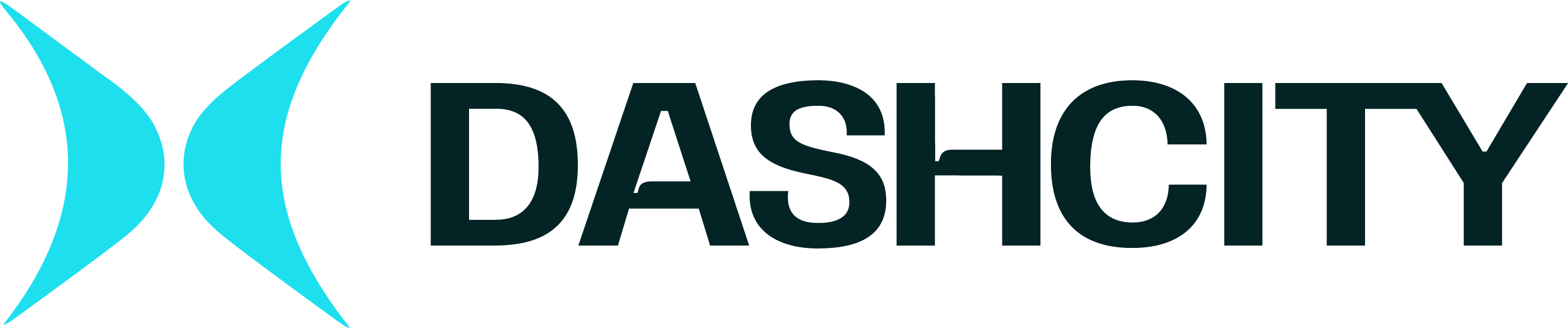 Dashcity
